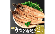 ＜2026年3月配送開始／定期便2回＞ うなぎ白焼き 計800g (200g×2尾×2回) ／ うなぎ 鰻 ウナギ 蒲焼 蒲焼き 土用 丑の日 特選 肉厚 たれ 国産 ふるさと 鰻丼 鰻重 うな重 うなぎたれ ギフト 贈り物 佐賀 佐賀県