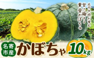 北海道名寄産 かぼちゃ 10kg 5玉～6玉北海道 名寄市 野菜 かぼちゃ 南瓜 黄金かぼちゃ先行予約【2026年10月上旬-10月下旬頃出荷】