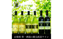 お礼品の内容・特徴山梨の日本酒蔵の笹一酒造が醸造する日本ワイン「OLIFANT(オリファン)」です。笹一酒造は山梨県の大月市に位置し、1661年(寛文元年)に「花田屋」として創業し代々醸造業を営んでお