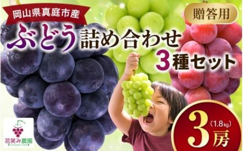 ぶどう【2026年先行予約】＜除草剤不使用＞ぶどう 食べ比べ 3種セット 1.8kg 3房 贈答用｜ ぶどう詰め合わせ シャインマスカット ピオーネ クイーンニーナ オーロラブラック ぶどう 詰め合わせ 果物 くだもの フルーツ 産地直送 農家直送 食べ比べ ぶどう 詰め合せ 岡山県【hana084-01】 2470715 - 岡山県真庭市