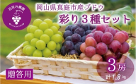 【2026年の先行予約】 岡山 花笑み農園『彩り３種セット』贈答用（1.8kg） 3M-2上 / ぶどう 詰め合わせ 食べ比べ シャインマスカット ピオーネ クイーンニーナ 岡山 真庭市 【hana084-01】