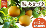 【2026年先行予約】 千葉県産 梨 あきづき 約 5kg 秀品 あきづき梨 なし 和梨 果物 果実 くだもの フルーツ 旬の果物 9月発送 2026 国産 千葉 千葉産 秋月 秋月梨 新鮮 鮮度 旬 厳選 贈答 贈り物 ふるさと納税 産地 送料無料 千葉県 旭市 齋藤園 ste004