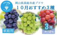 【2026年の先行予約】岡山 花笑み農園 10月おすすめ『ぶどう３種』家庭用（1.8kg） 3M-2L家 / ぶどう 詰め合わせ 食べ比べ シャインマスカット 岡山 真庭市 【hana086-01】