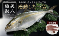 カンパチ 勘八 3節 セット | 極美勘八 人気 高級 魚 産地直送 新鮮 かんぱち しゃぶしゃぶ 鍋 照り焼き 刺し身 刺身 さしみ 生 冷蔵 高知県 須崎市