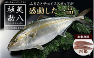 カンパチ 勘八 4節 セット | 極美勘八 人気 高級 魚 産地直送 新鮮 かんぱち しゃぶしゃぶ 鍋 照り焼き 刺し身 刺身 さしみ 生 冷蔵 高知県 須崎市