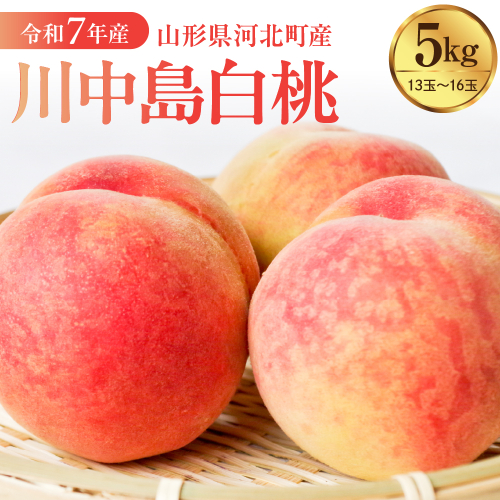 【令和8年産】川中島白桃 5kg（特秀 13玉～16玉）山形県河北町産 【河北町観光物産協会】 特秀 川中島　ka002-002-r8 2471031 - 山形県河北町