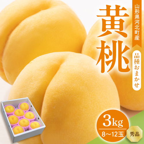 【令和8年産】黄桃 品種おまかせ 3kg (8～12玉前後) ギフト箱入 秀品 山形県産 【山形eLab】 ka074-009-r8 2471052 - 山形県河北町
