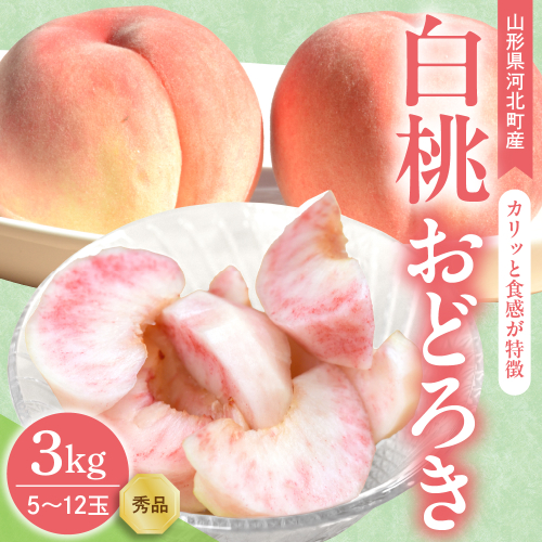【令和8年産】白桃 おどろき 3kg(5～12玉前後) ギフト用 山形県河北町産 【山形eLab】 ka074-015-r8 2471056 - 山形県河北町