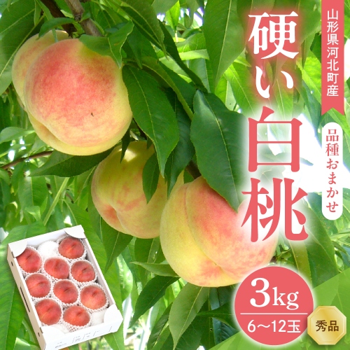 【令和8年産】硬い白桃 3kg(6～12玉前後) ギフト用 品種おまかせ 山形県河北町産【山形eLab】 ka074-016-r8 2471058 - 山形県河北町