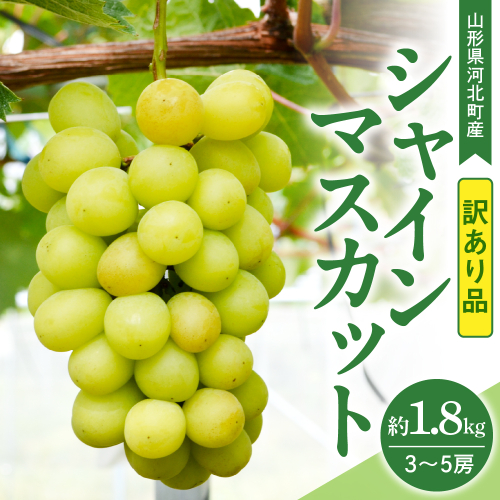 【訳あり 令和8年産】 ぶどう シャインマスカット 約1.8kg(3～5房) 山形県河北町産【山形eLab】 ka074-021-r8 2471067 - 山形県河北町