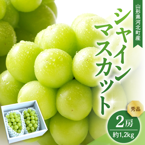 【令和8年産】 ぶどう シャインマスカット 2房入り（1房600g前後） 秀品 山形県河北町産【山形eLab】 ka074-023-r8 2471079 - 山形県河北町