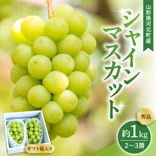 【令和8年産】 ぶどう シャインマスカット 2～3房 約1kg ギフト箱入り 秀品 山形県河北町産 【山形eLab】 ka074-025-r8 2471095 - 山形県河北町