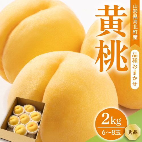 【令和8年産】黄桃 品種おまかせ 2kg (6～8玉前後) ギフト箱入 秀品 山形県河北町産 【山形eLab】 ka074-027-r8 2471098 - 山形県河北町
