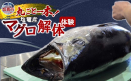 塩竈産マグロ解体体験！丸ごと1本食べつくそう！｜gt00001 塩竈市 塩釜 合同会社ツナらいふ