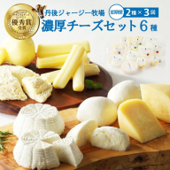 丹後ジャージー牧場の濃厚チーズセット6種（2種×3回定期便）フロマージュ・カチョカバロ・モッツァレラ・リコッタ・ストリング・ゴーダ ふるさと納税 チーズ ちーず セット 詰め合わせ お取り寄せ 生産者応援