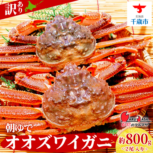 北海道産【 朝ゆで 】訳ありオオズワイガニ 800g詰 道産品 オオズワイ カニ 蟹 規格外品 不揃い 訳アリ 訳有り 2471228 - 北海道千歳市