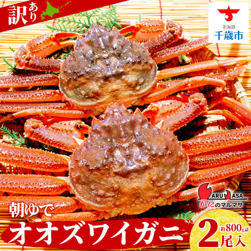 北海道産【 朝ゆで 】訳ありオオズワイガニ 800g詰 道産品 オオズワイ カニ 蟹 規格外品 不揃い 訳アリ 訳有り 2471228 - 北海道千歳市