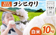 【先行予約】【令和8年産・新米】 坂井市産 コシヒカリ 白米 10kg (5kg×2袋) (中瀬農産) 【2026年10月以降順次発送予定】 【米 こめ お米 精米 ブランド米 こしひかり 国産】 [A-20508]