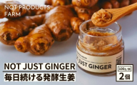 四万十生姜×特許乳酸菌 毎日続ける発酵生姜 「NOT JUST GINGER」 2個入り しょうが ショウガ 生姜 ペースト ジンジャー 生姜焼き 薬味 野菜 料理 健康 生姜湯 ／ Fnp-04