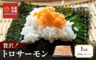 [丸友水産]トロサーモン 250g×4パック 計1kg|京都 トロサーモン ノルウェー産[ 京都 ノルウェーサーモンの中落ち 丸友水産 京都中央卸売市場 ノルウェー産サーモン トロサーモン 人気 おすすめ おいしい お取り寄せ 通販 送料無料 ふるさと納税 ]