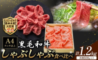 A5 A4 ランク 黒毛和牛しゃぶしゃぶ食べ比べセット 計1.2kg サーロイン 600g 赤身 600g 《45日以内に順次出荷(土日祝除く)》熊本県 大津町 和牛焼肉LIEBE しゃぶしゃぶ 冷蔵 リーベ サーロイン 赤身