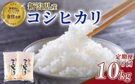【定期便】コシヒカリ 10kg×6回 60kg 新潟県産 玄米不可 新潟県 新潟米 新発田産 新発田 お米 米 こめ コシヒカリ 新発田ファーム 数量限定 新発田ファーム 新潟 新発田 shibatafarm010