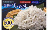 大津港水揚げの釜揚げしらす 500g（茨城県共通返礼品・北茨城市産） A78-005