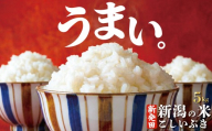 【寄附額改定↓】令和7年産 こしいぶき 5kg コシヒカリ こしひかり 遺伝子を引き継ぐ ご飯 備蓄 コメ お米 米 こめ 新潟産 新潟米 新潟県 新潟 新発田 新発田市 国産 新発田市産 斗伸 toushin054
