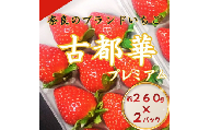【 数量限定】 奈良のブランドいちご 古都華 約520g 260g×2パック 1パック6~11粒 イチゴ 月 旬 産地 農場 直送 フレッシュ スイーツ スムージー ケーキ フルーツ 果物 国産 ベリー 贈答用 プレゼント 人気 ふるさと納税 ふるさと おすすめ 限定 奈良県 奈良市 なら ファーム和だや
