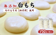 希少品種「鈴原糯」100%使用 無添加 白もち 15個 計750g|丸餅 真空パックでお届け AL1-4
