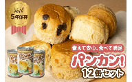 [チョコチップ 12缶]備えて安心、食べて満足『パンカン!』12缶セット 備蓄食 缶入り パン 5年保存 3種24缶セット たっぷり 備蓄 長期保存 調理不要 災害 セット 非常食 常温 缶詰 チョコパン レーズンパン コーヒーパン 30000円 3万円 防災 おやつ チョコ レーズン 防災グッズ