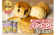 [レーズン 12缶]備えて安心、食べて満足『パンカン!』12缶セット 備蓄食 缶入り パン 5年保存 3種24缶セット たっぷり 備蓄 長期保存 調理不要 災害 セット 非常食 常温 缶詰 チョコパン レーズンパン コーヒーパン 30000円 3万円 防災 おやつ チョコ レーズン 防災グッズ
