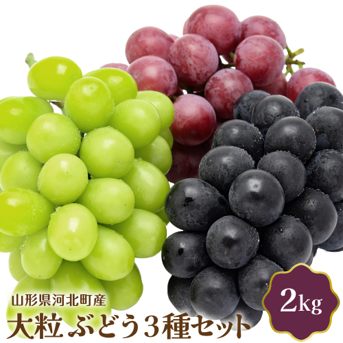 【令和8年産】大粒ぶどう3種セット 2kg 山形県河北町産【JAさがえ西村山】 ka008-016e-r8 2472899 - 山形県河北町