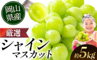シャインマスカット【2026年出荷先行予約】 厳選 シャインマスカット 約5kg 《2026年9月上旬-11月中旬頃に出荷予定》ぶどう 種なし ぶどう 岡山 ぶどう 先行予約 ぶどう シャインマスカット 大粒 シャインマスカット 晴王 シャインマスカット 岡山 シャインマスカット ぶどう