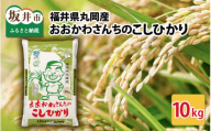 おおかわさんちのこしひかり 10kg 【令和7年産】 コシヒカリ こしひかり 白米 米 お米 kome 10キロ 精米 ブランド米 ごはん ご飯 おいしい 人気 産地直送 国産 [B-10802]