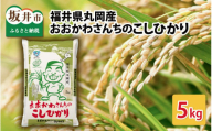 おおかわさんちのこしひかり 5kg 【令和7年産】 コシヒカリ こしひかり 白米 米 お米 kome 5キロ 精米 ブランド米 ごはん ご飯 おいしい 人気 産地直送 国産 [A-10810]