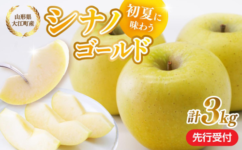《先行受付》大江町産 りんご シナノゴールド約3kg  【2026年5月上旬頃～順次発送予定】 028-037 2473345 - 山形県大江町