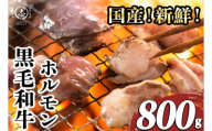 国産黒毛和牛ホルモン 焼肉用 (400g×2P計800g) 黒毛和牛 肉 牛肉 国産 焼肉 バーべキュー 小分け もつ鍋 モツ鍋 ホルモン a1-153