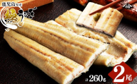 楠田の極うなぎ白焼き 2尾(有頭130g以上×2尾) こだわり真空パックで肉厚の国産鰻をお届け！ウナギ本来の旨味を味わえます！鰻 ウナギ 白焼き うな重 ひつまぶし 鹿児島 冷凍 おかず お祝い a4-105