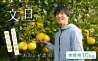 あおかぜ農園の土佐文旦 約10kg家庭用