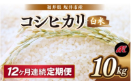 【先行予約】【令和8年産・新米】 定期便 ≪12ヶ月連続お届け≫ 坂井市産 コシヒカリ 白米 10kg (5kg×2袋)×12回 計120kg (アグリ川崎) 【2026年10月以降順次発送予定】 【米 こめ お米 精米 ブランド米 こしひかり 国産】 [O-20504]
