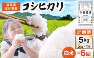 【先行予約】【令和8年産・新米】 定期便 ≪6ヶ月連続お届け≫ 坂井市産 コシヒカリ 白米 5kg×6回 計30kg (中瀬農産) 【2026年10月以降順次発送予定】 【米 こめ お米 精米 ブランド米 こしひかり 国産】 [F-20503]