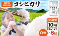 【先行予約】【令和8年産・新米】 定期便 ≪6ヶ月連続お届け≫ 坂井市産 コシヒカリ 白米 10kg (5kg×2袋)×6回 計60kg (中瀬農産) 【2026年10月以降順次発送予定】 【米 こめ お米 精米 ブランド米 こしひかり 国産】 [K-20504]