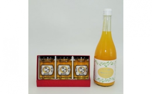 【D48】みかん蜂蜜「ジオハニー」170g×３瓶と柑橘生搾りジュース720ml×１本のセット