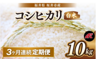 【先行予約】【令和8年産・新米】 定期便 ≪3ヶ月連続お届け≫ 坂井市産 コシヒカリ 白米 10kg (5kg×2袋)×3回 計30kg (アグリ川崎) 【2026年10月以降順次発送予定】 【米 こめ お米 精米 ブランド米 こしひかり 国産】 [F-20506]