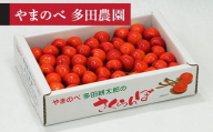 【令和8年産】 紅秀峰 バラ詰 700g やまのべ多田耕太郎のさくらんぼ F2Y-4567