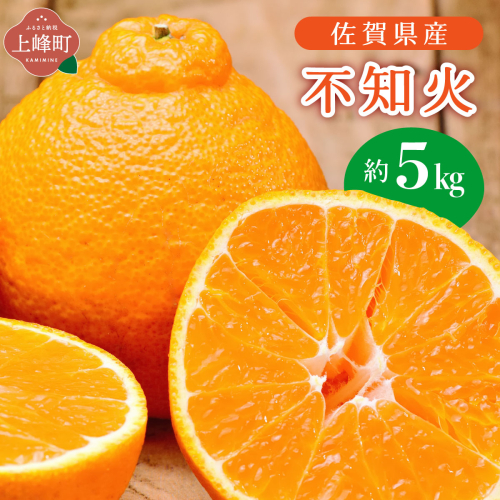 不知火 約5kg 2474916 - 佐賀県上峰町