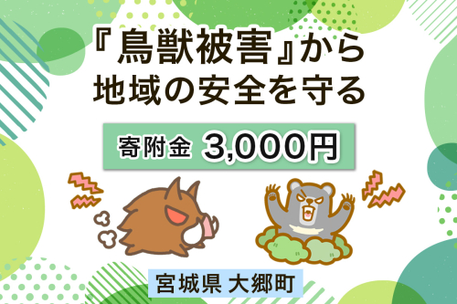 宮城県大郷町への寄付 (返礼品はありません) 鳥獣被害から地域の安全を守る イノシシ・熊出没防止対策・環境整備へのご支援を【寄附額3千円】｜東北 大郷町 おおさと 返礼品無し 寄附 寄付 被害防止 対策 安全確保 生活確保 熊 クマ くま 猪 イノシシ いのしし [0277] 2474922 - 宮城県大郷町