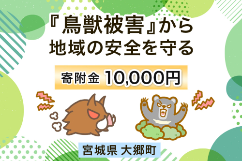 宮城県大郷町への寄付 (返礼品はありません) 鳥獣被害から地域の安全を守る イノシシ・熊出没防止対策・環境整備へのご支援を【寄附額1万円】｜東北 大郷町 おおさと 返礼品無し 寄附 寄付 被害防止 対策 安全確保 生活確保 熊 クマ くま 猪 イノシシ いのしし [0279] 2474924 - 宮城県大郷町