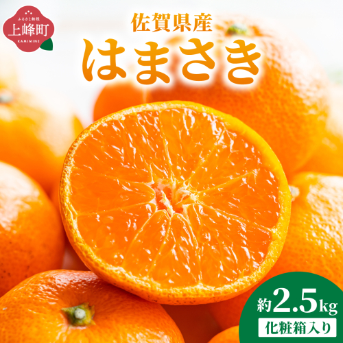 はまさき 約2.5kg 化粧箱入り 2474966 - 佐賀県上峰町